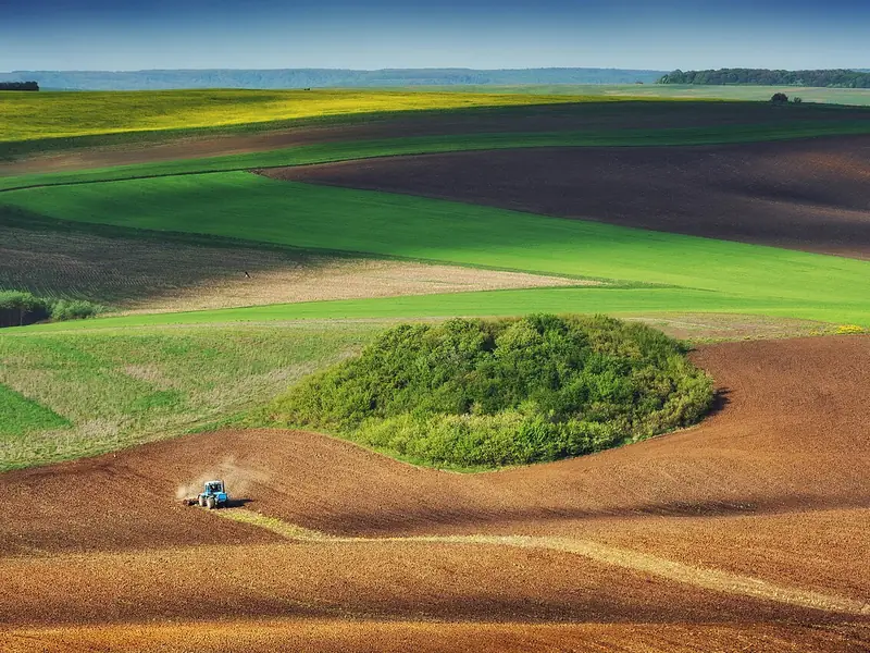 Campos cultivados vistos do alto