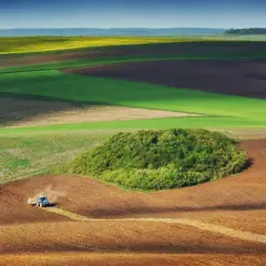 Campos cultivados vistos do alto