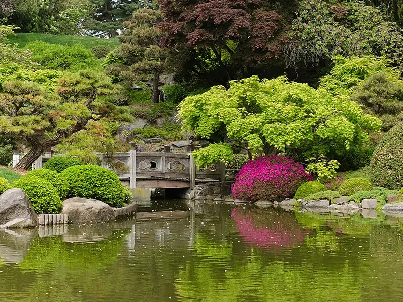 Jardim botânico com lago e arbustos floridos