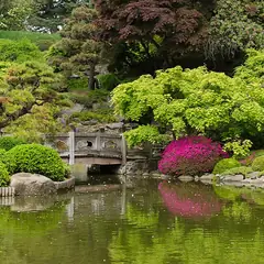 Jardim botânico com lago e arbustos floridos