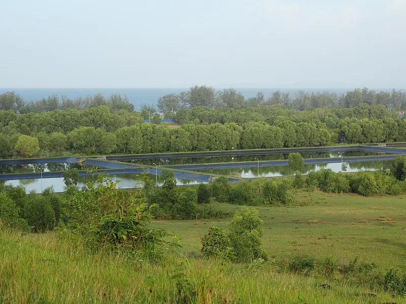 Lagoas de uma estação de tratamento de esgoto em meio à vegetação