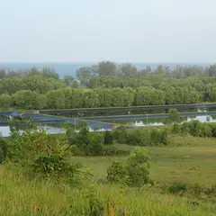 Lagoas de uma estação de tratamento de esgoto em meio à vegetação