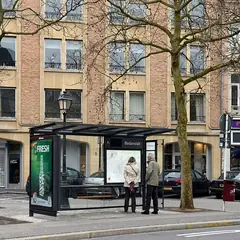 Ponto de ônibus em uma rua arborizada